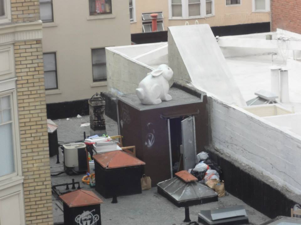 The hostel was famous for its aesthetic views.