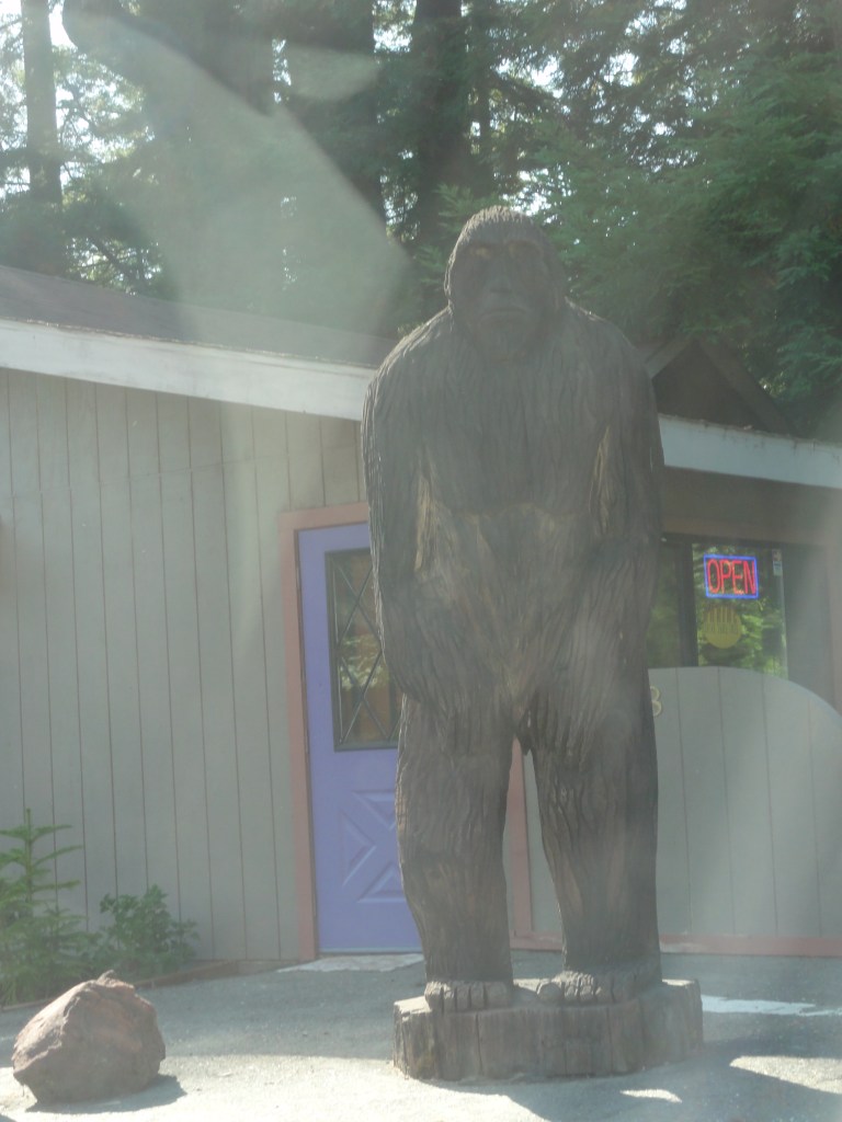 "I'm shy, but that won't stop me from kidnapping you when you're sleeping."