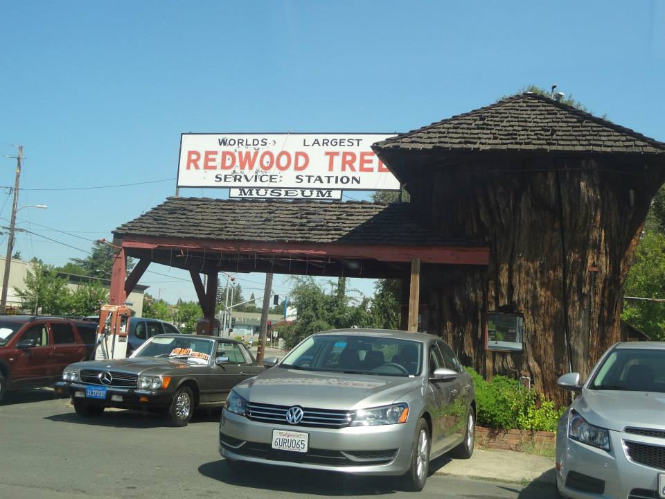 Gas would've been cheap here.