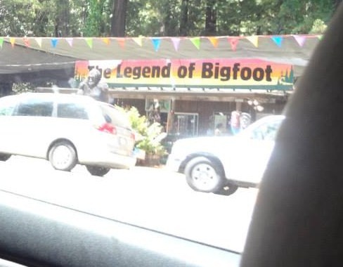 I wish we had stopped here!