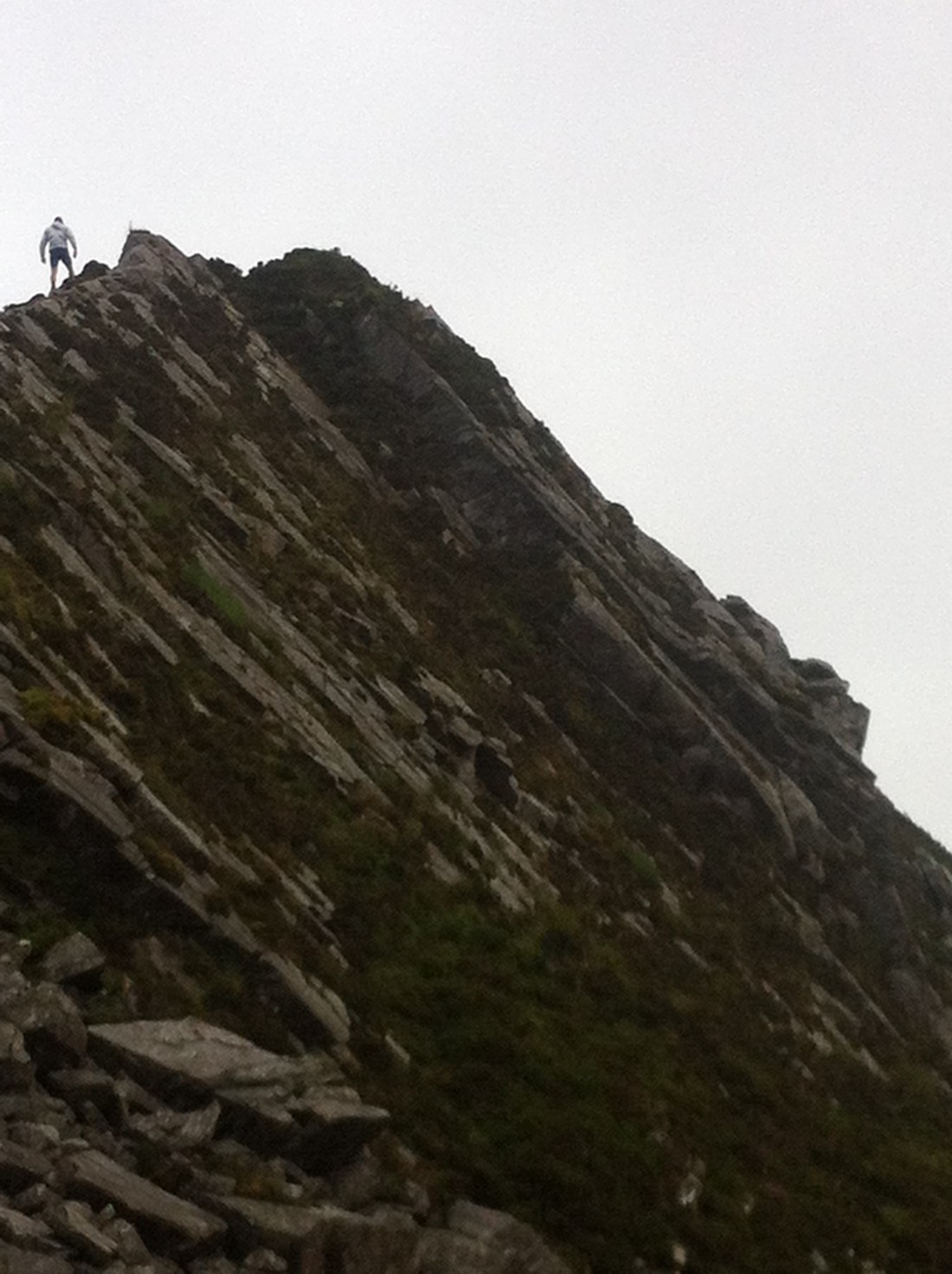 A better idea of what we did