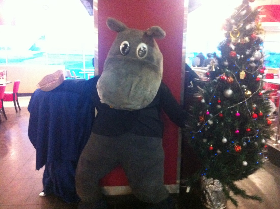 Hippo Bar's eponymous hippo, and a well-intentioned Christmas tree