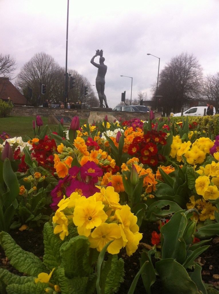 A bit of color on this grey afternoon, Bancroft Gardens