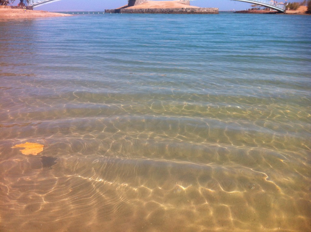 Lagoon at Gouna, deceptively calm.