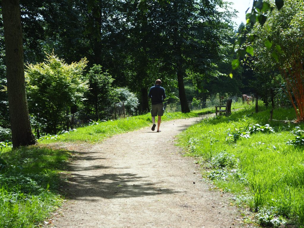 Cows laying down does not equal rain