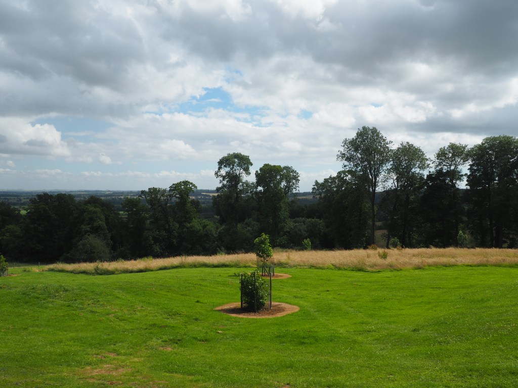 View from the arboretum