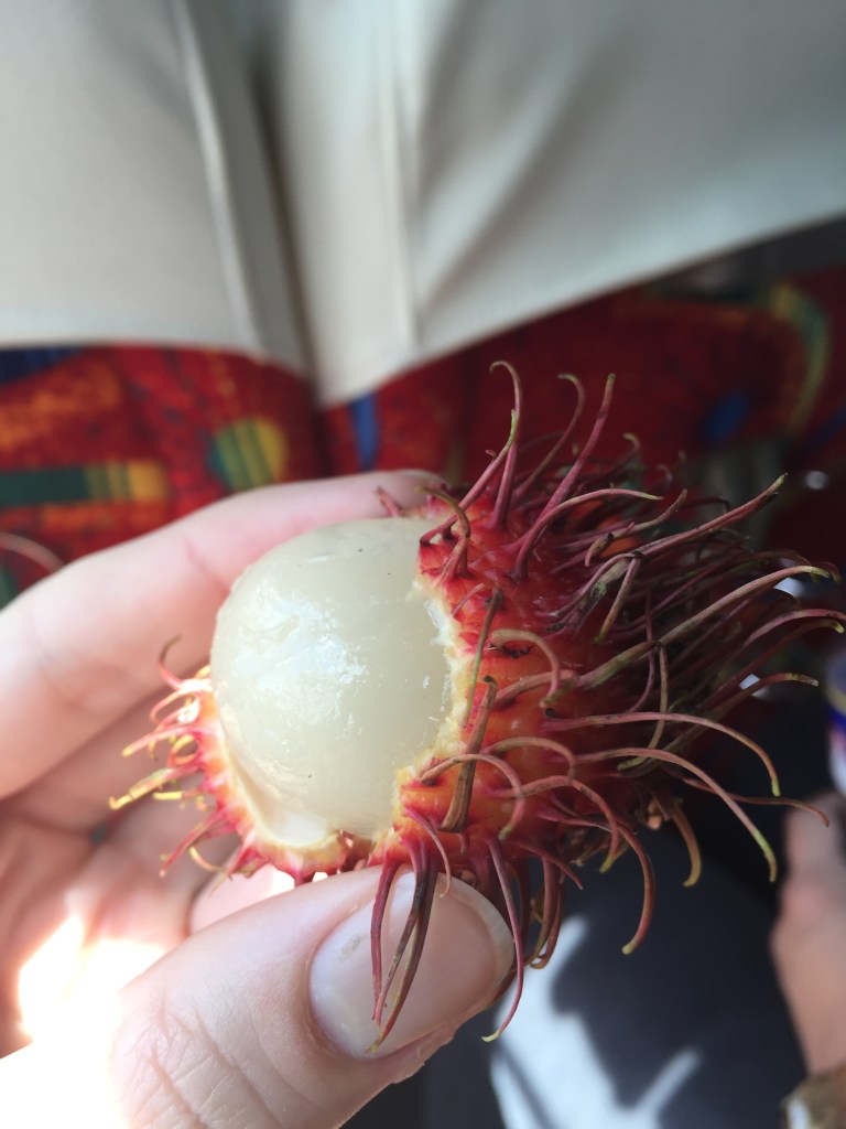 Rambutan. Yum. Lychee's punkrock cousin.