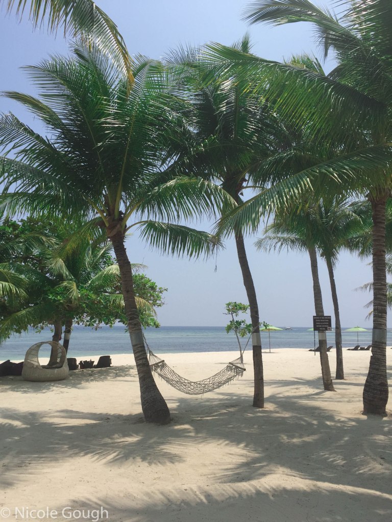 Oh alright, I'll get into the hammock. 