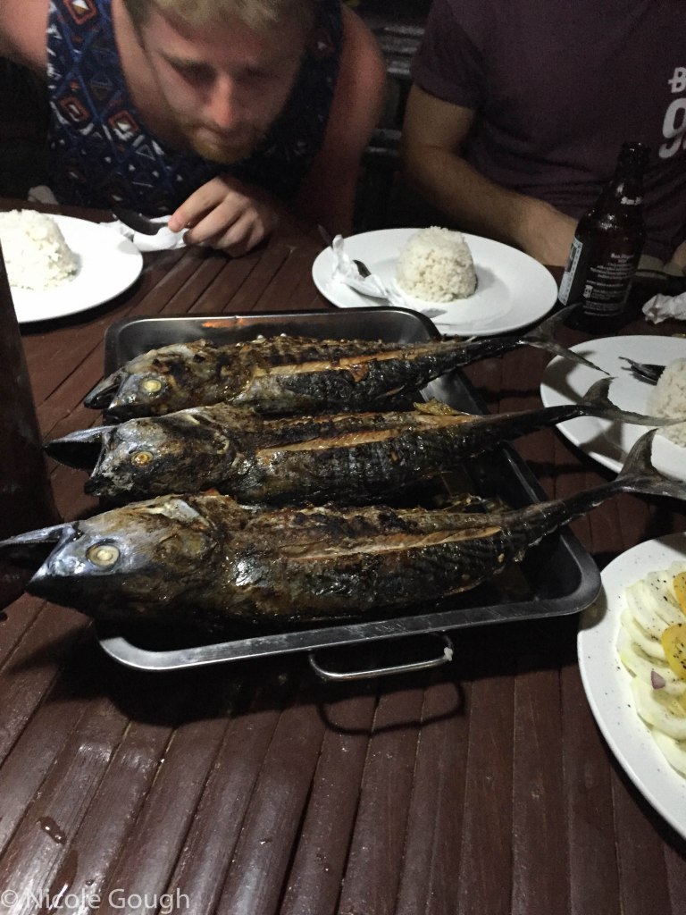 Sam inspects the fish