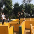 IMG_0555