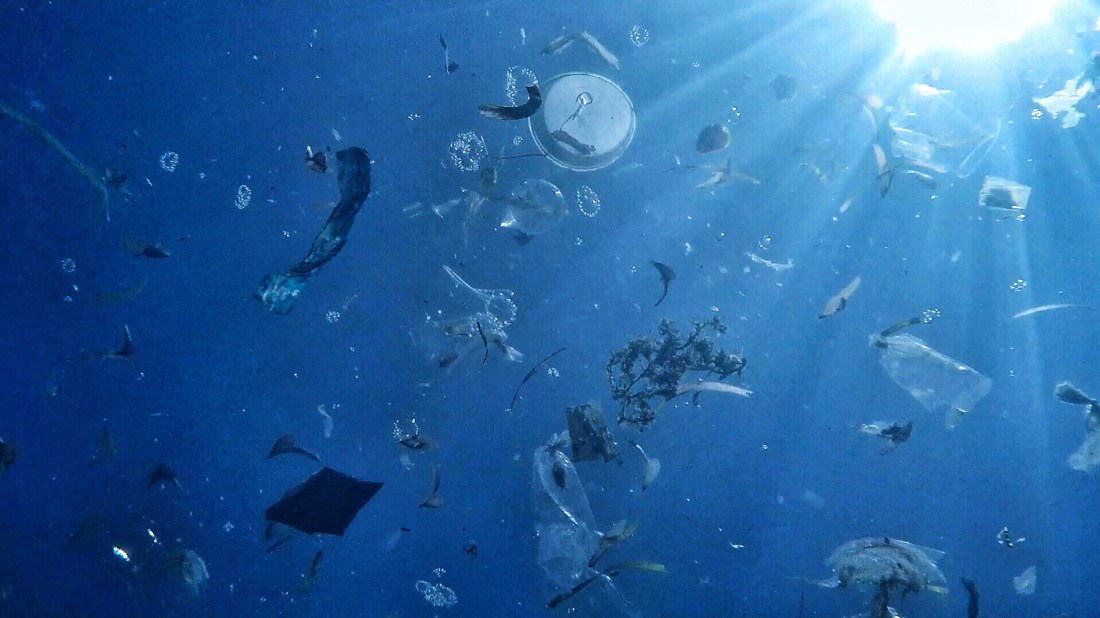 72A1B2B9-D432-4063-895D-25CD7E182D45