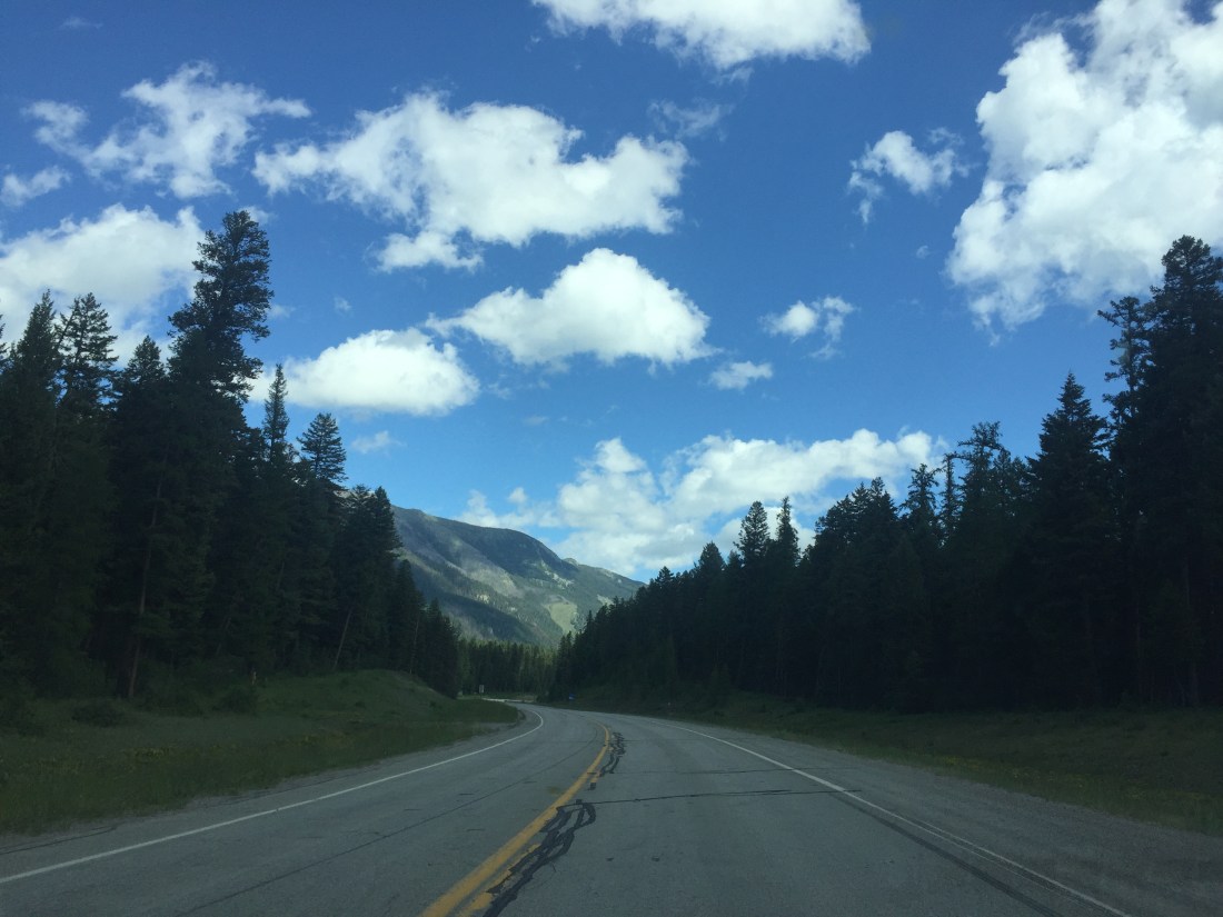 MontanaOpenRoad