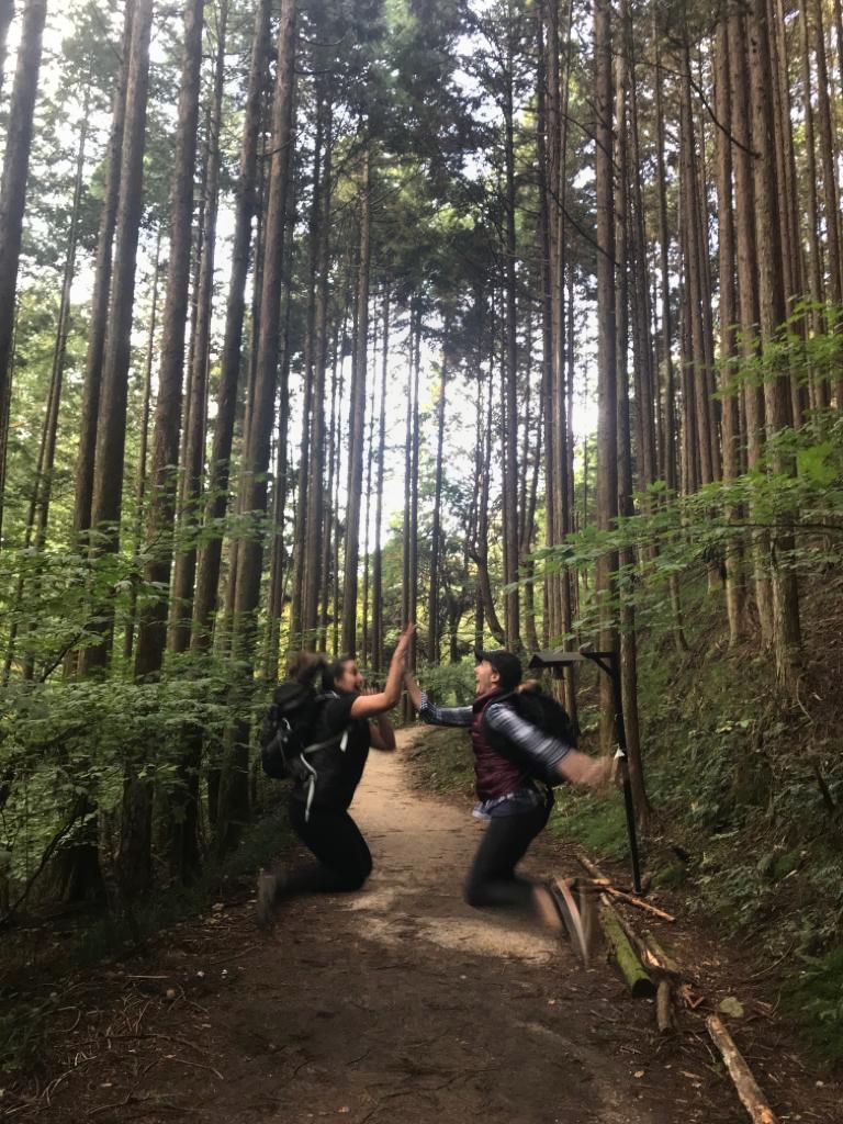 66dd261d-212c-4cc7-a1fc-0665738d8321