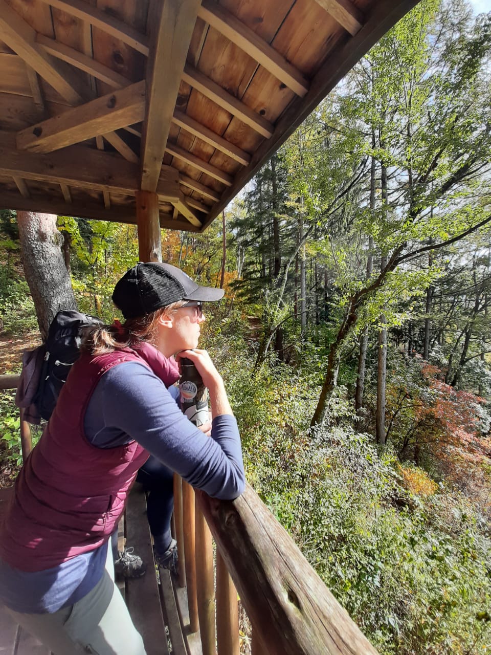 74fcf632-7630-4224-9cb3-71b4217851b0