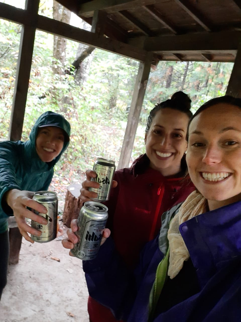 fc86f22d-3910-4776-83d1-819fdf577e83